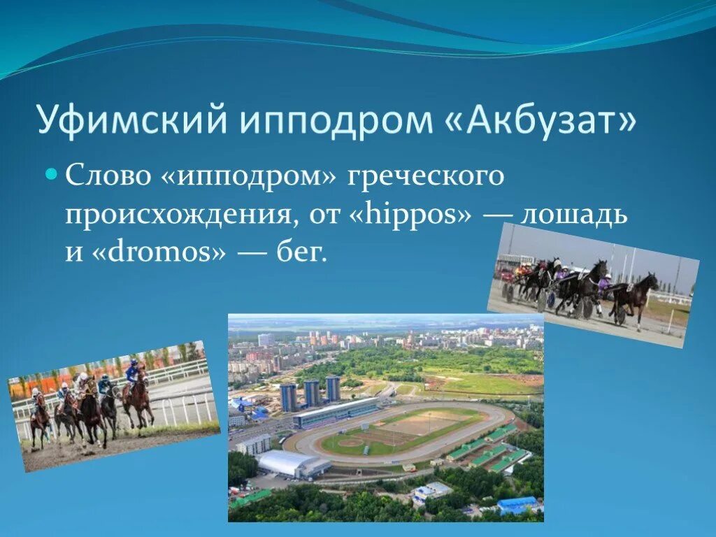 Объясните значение слова атлет ипподром. Что такое слова ипподром. ипподром акбузат презентация. что такое ипподром кратко. ипподром презентация для детей 3-4.