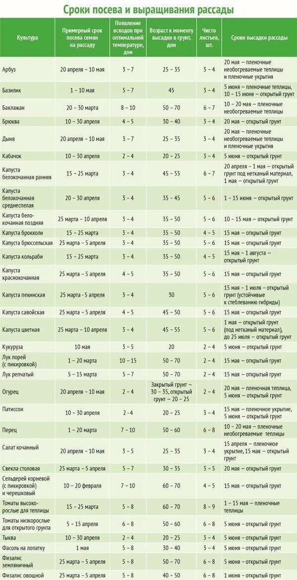 Таблица посадки овощей в открытый. Сроки посадки овощных культур в открытый грунт. Таблица рассады овощей для высадки в грунт. Возраст рассады для высадки в открытый грунт в Подмосковье таблица. Сроки высадки рассады овощей в открытый грунт.