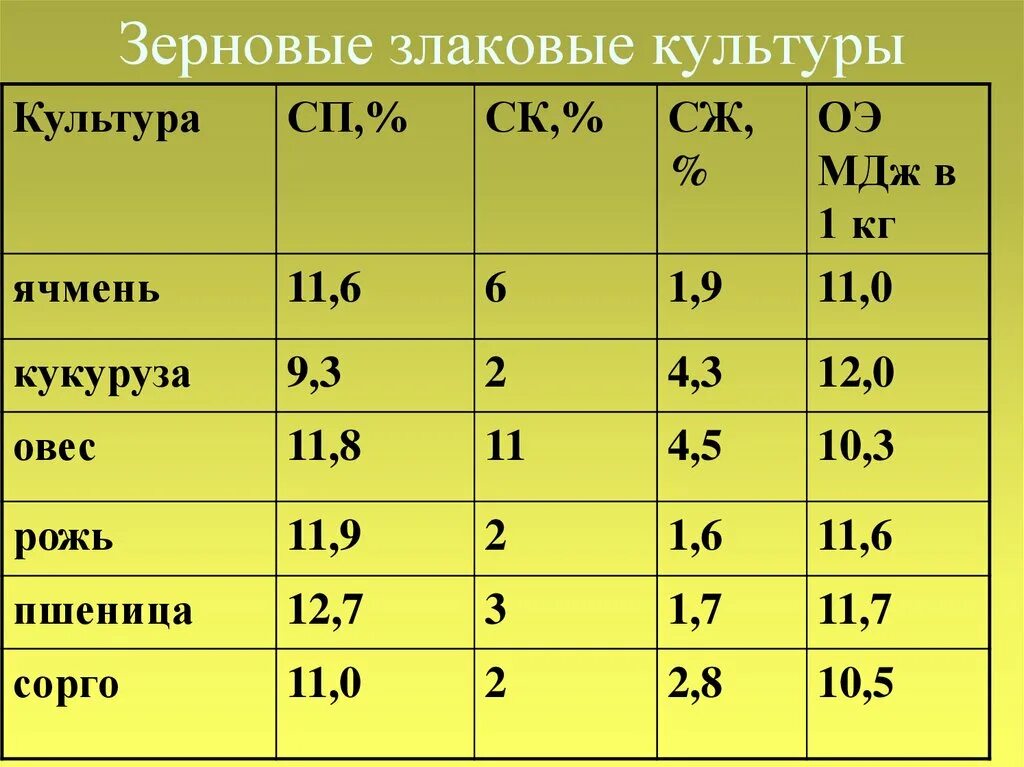 Классификация зерновых культур. Классификация злаков. 1. Классификация зерновых культур. Энергетическая питательность зерно ячмень.