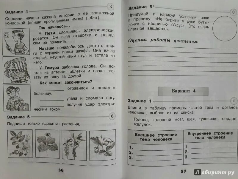 Проверочная работа по теме здоровье и безопасность. Плешаков проверочные работы 2 класс. Окружающий мир проверочные работы. Окружающий мир 2 класс проверочные. Контрольная по окружающему миру 2 класс.