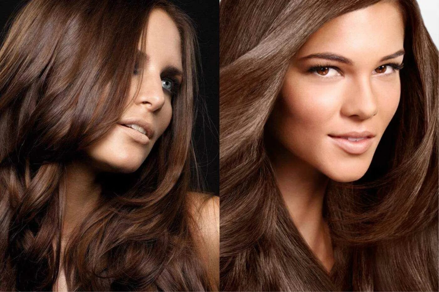 Chestnut brown. Коричневый цвет волос. Каштаново медный матрикс. Цвет волос мокко браун. Темный шоколад и каштан цвет волос.