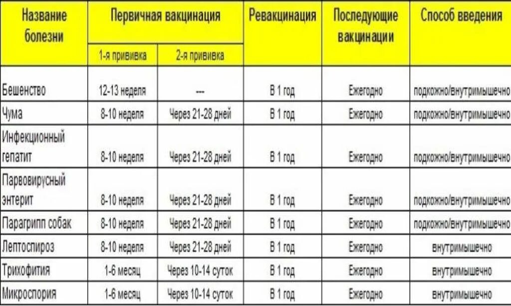 Сколько после прививки щенку можно гулять. Какие прививки надо делать собаке до 1 года. Прививки для собак какие и когда делать. Прививки щенкам по возрасту таблица. Таблица прививок для щенков до года.