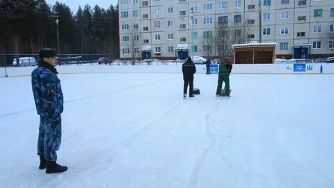 Доски зеленоборский