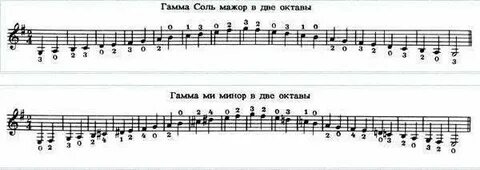 Гаммы темп