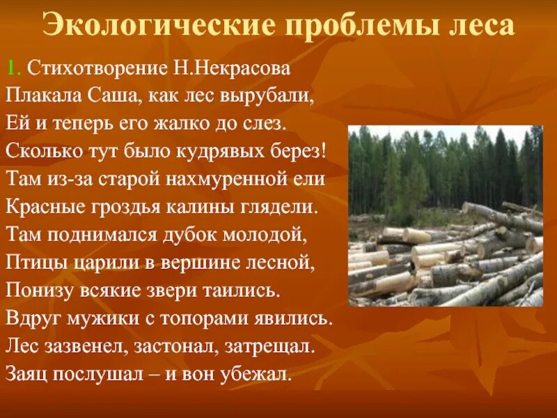 Решать проблемы леса. Экологические проблемы лесов. проблемы экологии леса. экологические проблемы лесных зон. экологические проблемы лема.