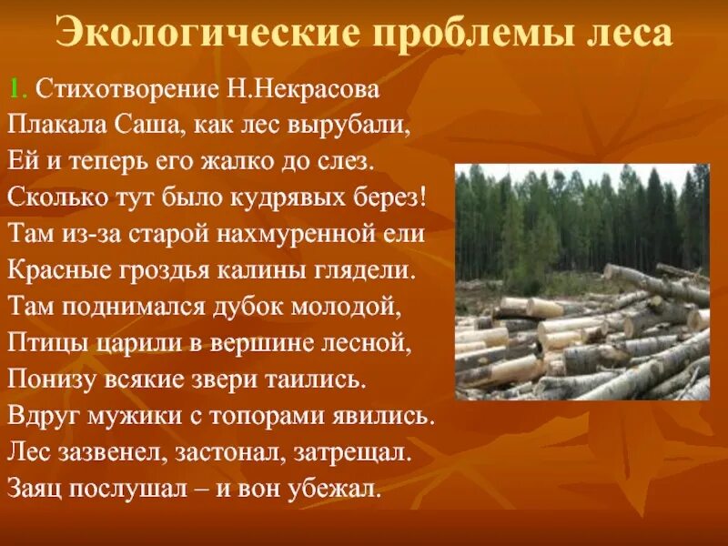 Текст чем дальше тем лес становился гуще. Экологические проблемы лесов. Проблемы экологии леса. Экологические проблемы лесных зон. Экологические проблемы Лема.