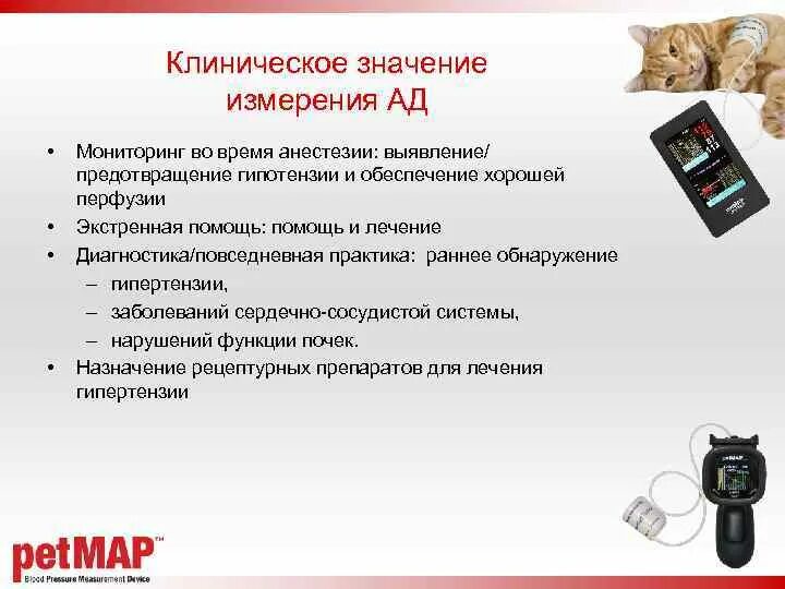 Выявление предотвращение нарушений. Выявление предотвращение нарушений