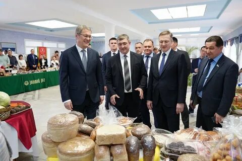 Эльгастрой