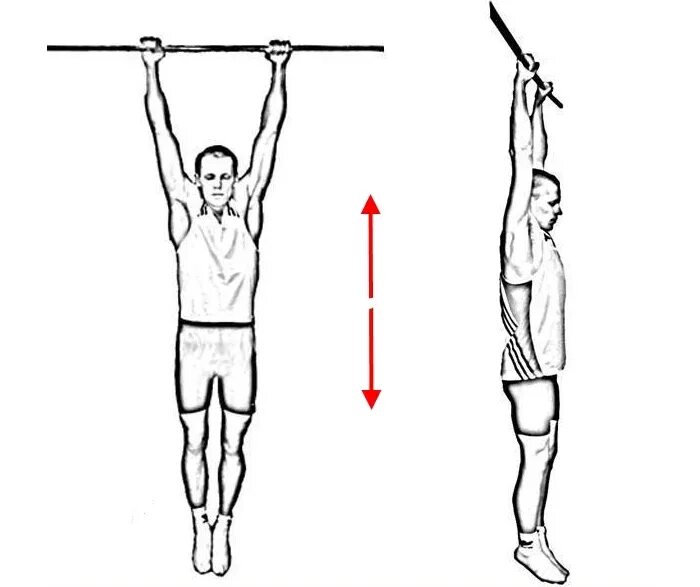 Схема ВИС на турнике подтягивание. Стандартный ВИС на турнике. Изометрический ВИС на турнике. Хват снизу
