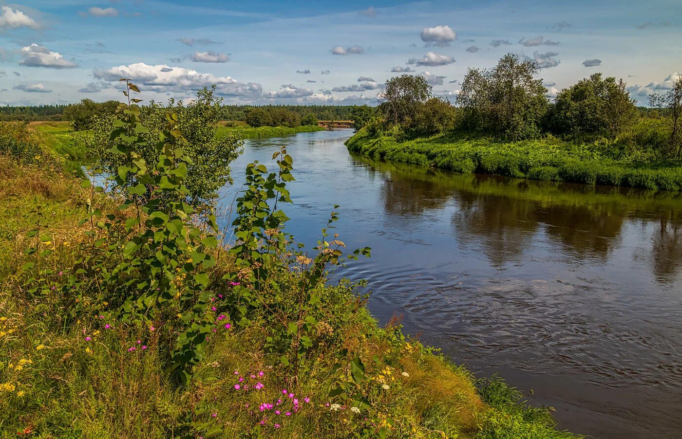 Река Клязьма Ногинск. Исток Клязьмы. Исток реки Клязьма. Река Клязьма в Клязьме. Река всегда течет