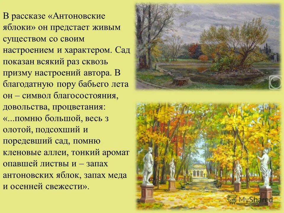 автор предстает. каким предстает автор в истории амальке. герои матренин двор солженицын. стихотворение о родине есенин. автор предстает.