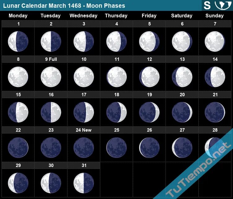 Amazon.com: moon phase calendar 2022