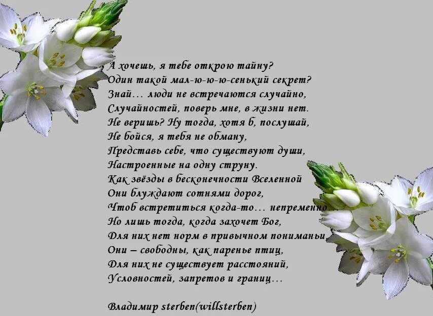 Стих а хочешь я открою тайну. Стих знай люди не встречаются случайно. Хочешь открою тебе тайну стих. А хочешь я тебе открою тайну стихотворение. Хотите открою секрет