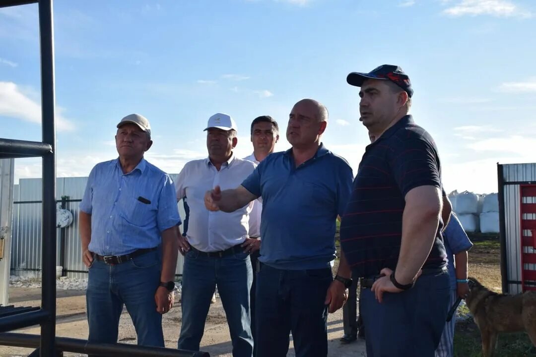 Нурлат информ. Талипов альмарис ниязович нурлат. аф южный урал ооо.