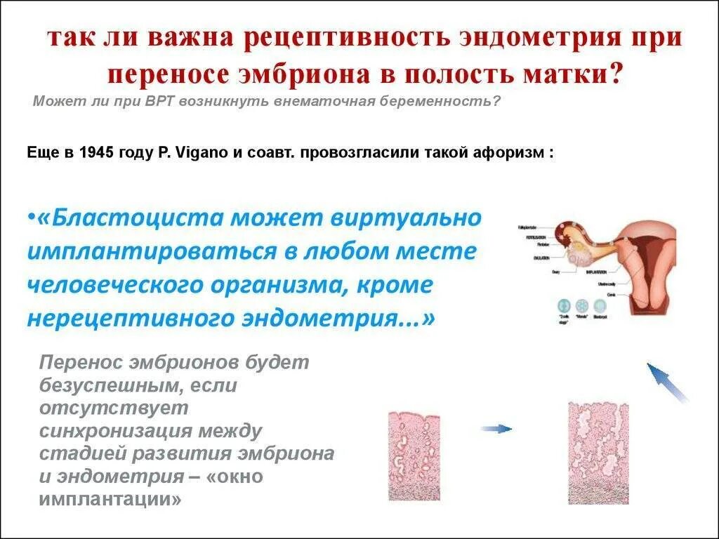 Какая должна быть эндометрия для зачатия. Толщина эндометрия при переносе эмбриона. Толщина эндометрия для переноса эмбриона при эко. Какая быть должна толщина эндометрия при подсадке эмбриона. Эмбрион в матке после переноса.