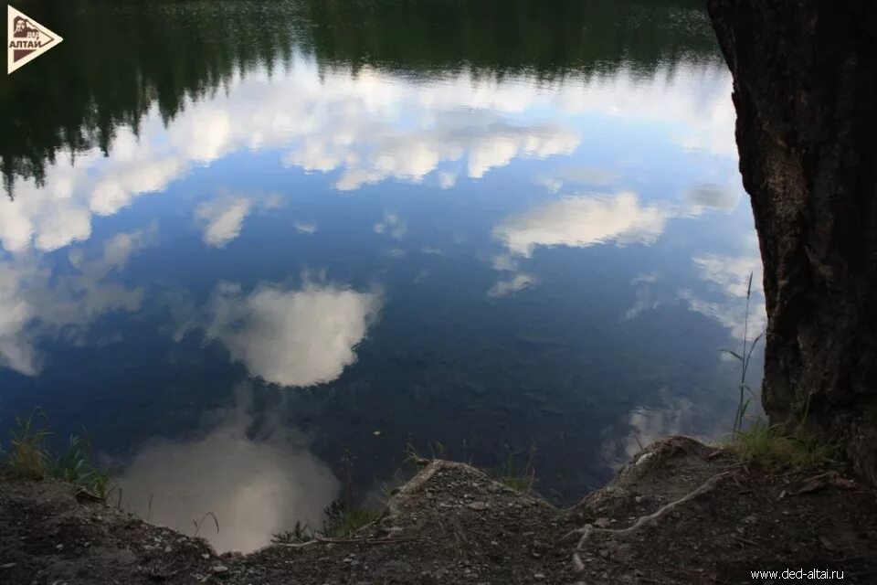 озеро дед