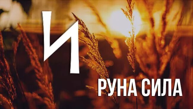 Скандинавский триглав. Славянские руны сила. Сила старославянский. Славянские руны сила. Славянский символ силы духа.