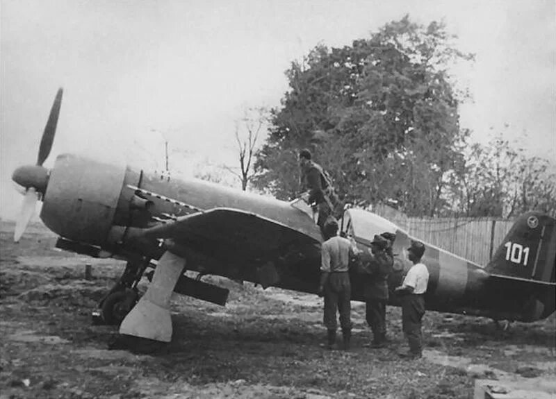 Iar 93b. Iar-81 самолет. iar 80 самолет. румынский истребитель iar 81. иар 80 истребитель.