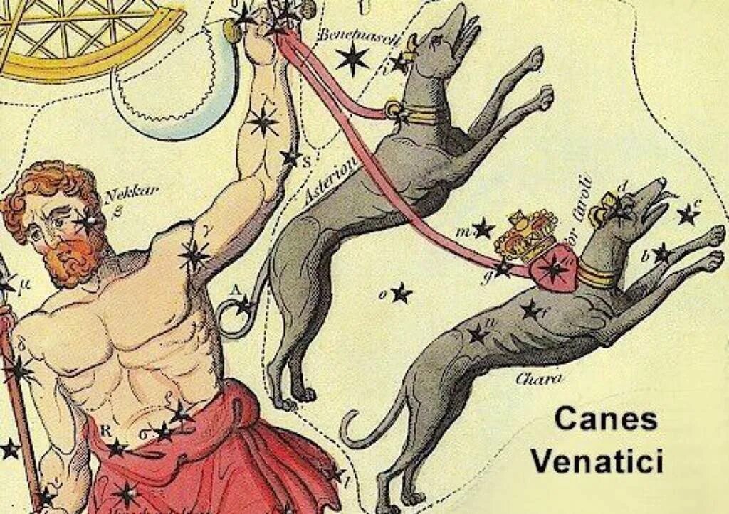 Астеризм гончие псы. Созвездие гончие псы. Гончие псы созвездие миф. Адская гончая днд 5. Созвездия волопас и гончие псы.