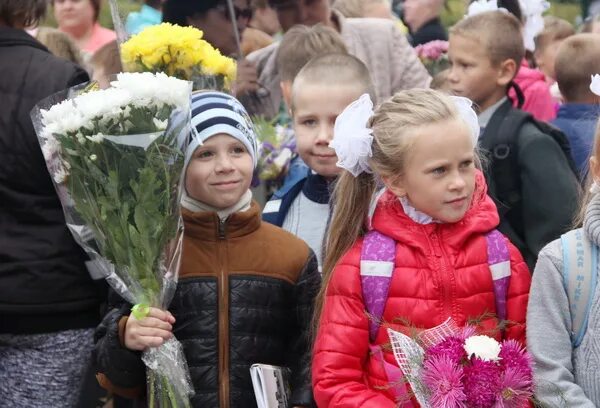 Новоталицкая школа Иваново. 2015 Год Талицкая школа 1 сентября. МОУ Новоталицкая СОШ. МОУ Новоталицкая СОШ начальное звено. Новоталицкая школа