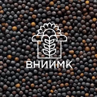 Институт масличных культур имени пустовойта