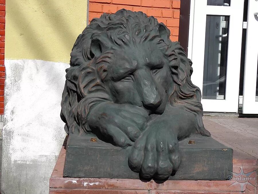 памятник львы петербурга. львы у русского музея в санкт-петербурге. каменные львы в санкт-петербурге. памятник львы петербурга. дворцовая пристань санкт-петербург львы.