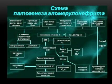 Гломерулонефрит патогенез