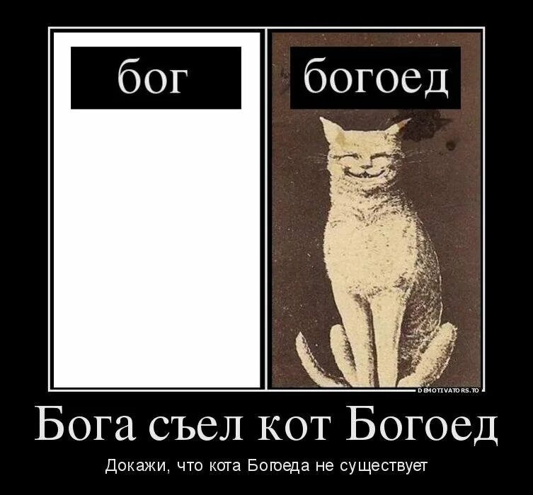 Бог существует или нет. Кот богоед. бога съел кот богоед. бог существует. коты боги мемы.