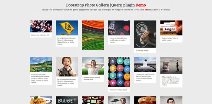 JQUERY галерея. Bootstrap photo. JQUERY галерея с вертикальными. Bootstrap images Gallery.