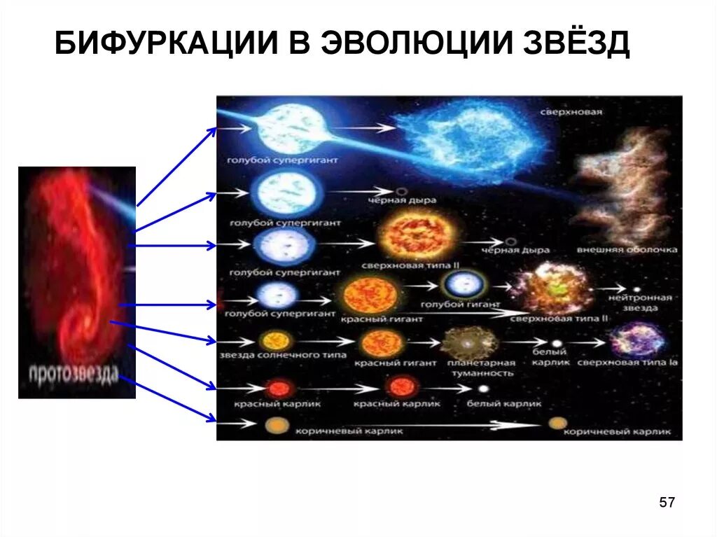 Классификация и Эволюция звезд. Концепции эволюции звезд. Бифуркации в эволюции звёзд. Сценарий эволюции звезд. Финал эволюции звезды сканворд 7