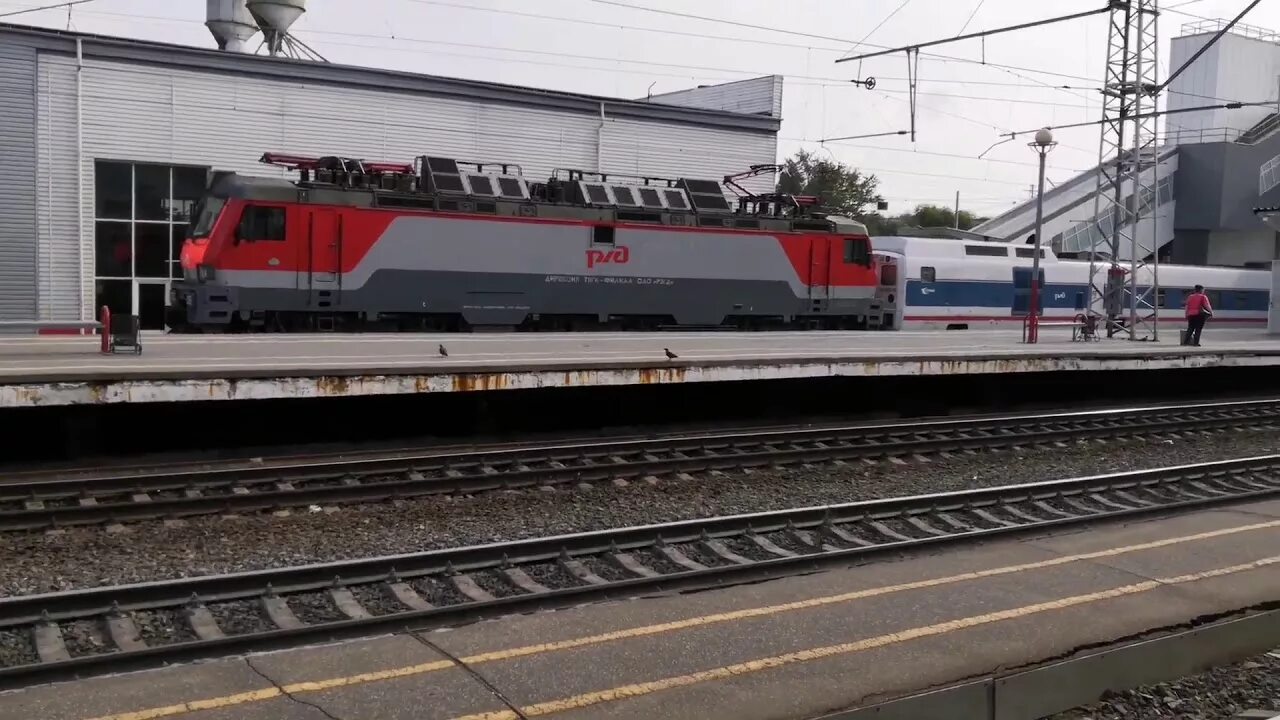 Talgo 250 стриж. Стриж электропоезд. Поезд 380 москва первомайск. Talgo avril. Поезд 380 москва нижний новгород.