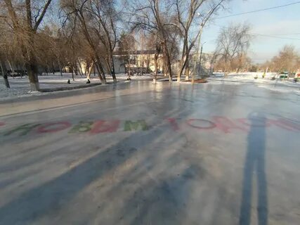 В парке залит
