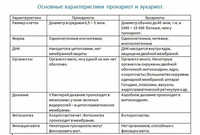 Сравнительная характеристика клеток эукариот и прокариот таблица Сравнение строения прокариотической и эукариотической клеток: найдено 86 изображ