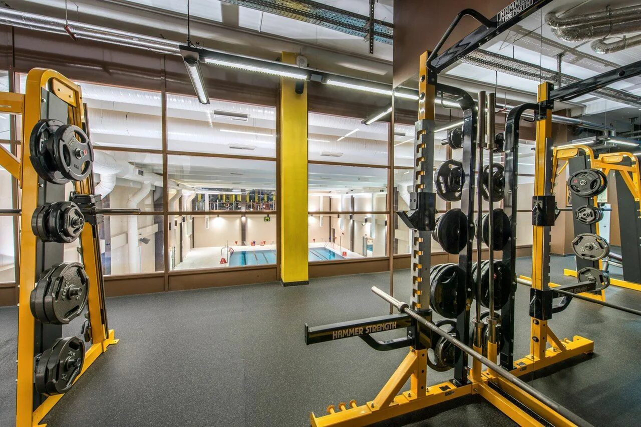 Бассейн gio wellness. Gw fitness на будапештской санкт-петербург. Gw fitness купчино. Гуси лебеди фитнес на туристской. Скульпторс гуси-лебеди бассейн.