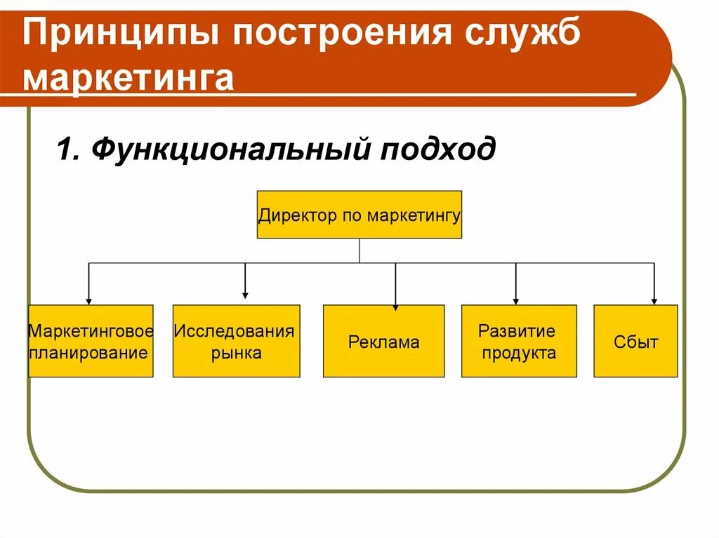 Функциональная организация маркетинга. Принципы организации службы маркетинга. Принципы построения маркетинговых служб. Принципы организации подразделений маркетинга. Принципы построения маркетинговых служб на предприятиях.