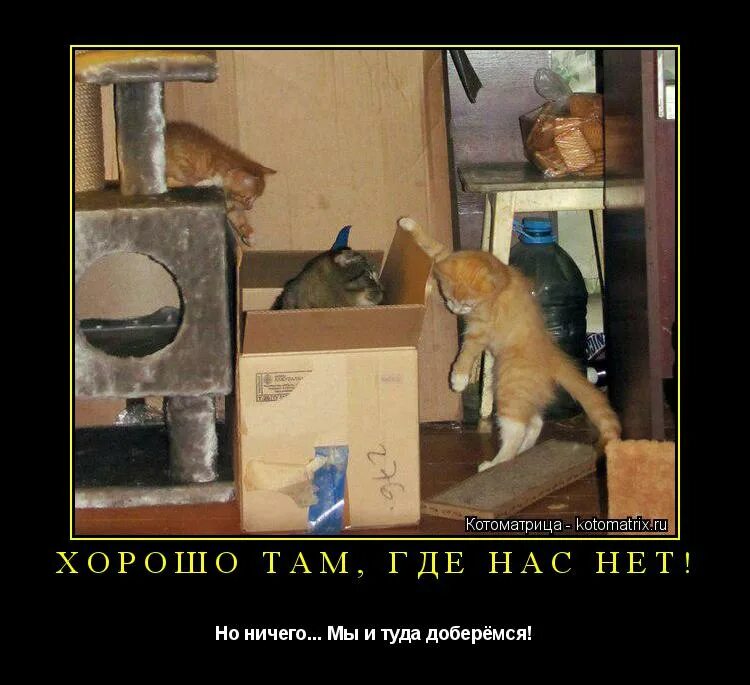 Песня хорошо где нас нет