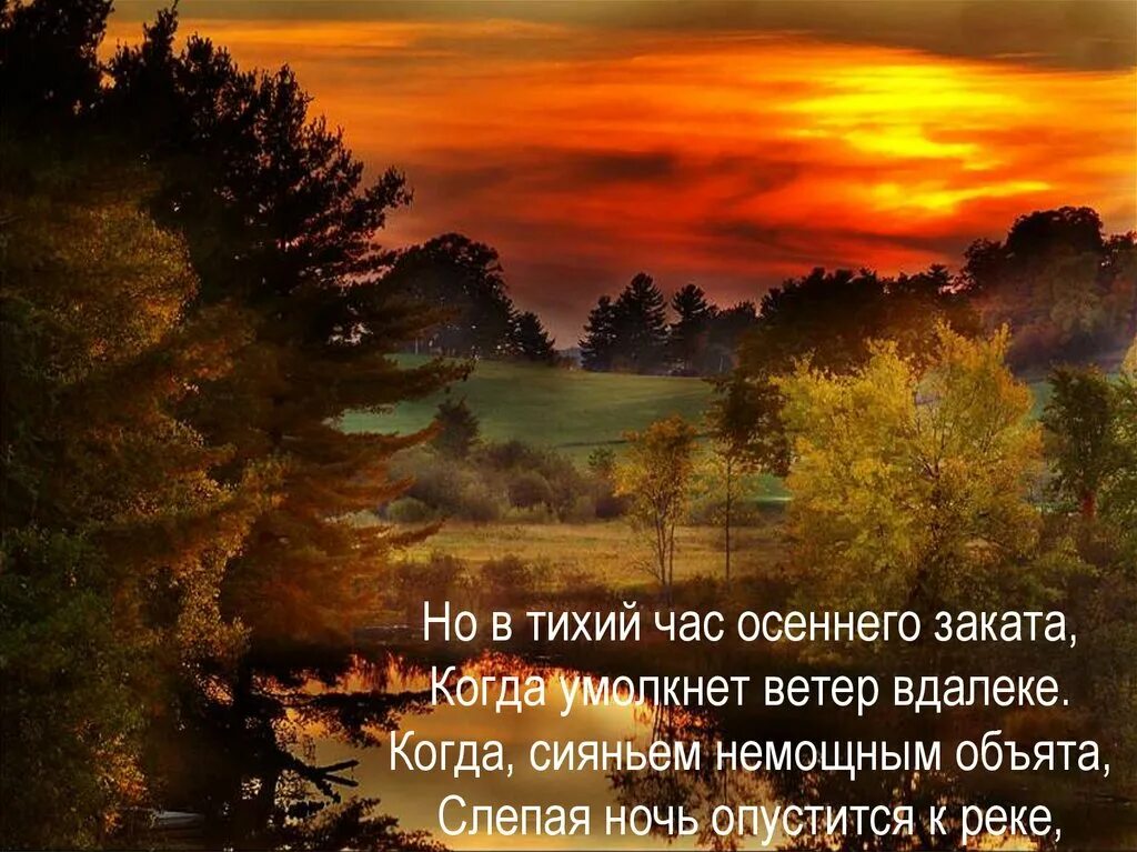 Стих в час осеннего заката. Но в тихий час осеннего заката стих. Заболоцкий на закате стихотворение. Стихотворения заболоцкого о природе