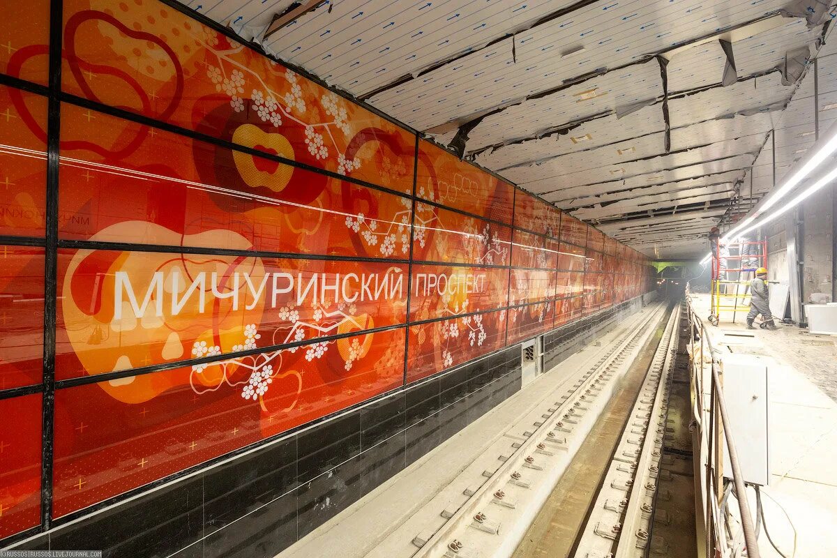 Солнцевский проспект метро. Мичуринский проспект (станция метро, солнцевская линия). парк у метро мичуринский проспект. мичуринский проспект метро. станция метро мичуринский проспект москва.