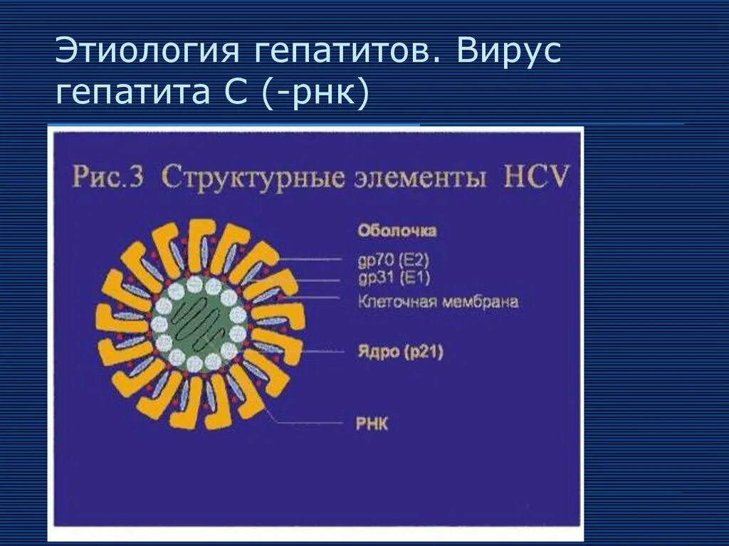 Вирусный гепатит задачи