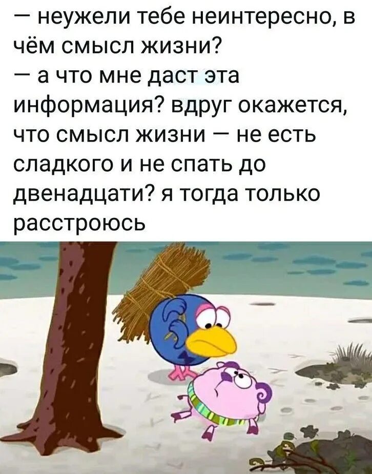 Смешарики цитаты. Смешарики высказывания. Смешарики высказывания. Смешарики цитаты. Фразы из смешариков.