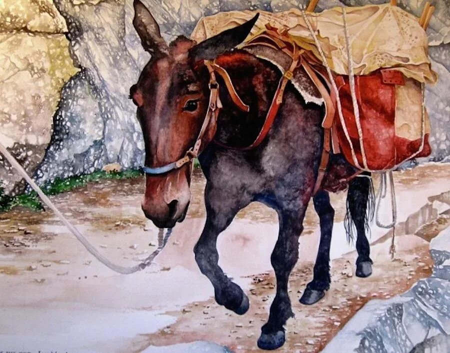 Поклажа на спине животного 4 буквы. Поклажа на спине животного 4 буквы. Вьючные животные вьючные животные. Погонщик слонов. Араб на ослике.