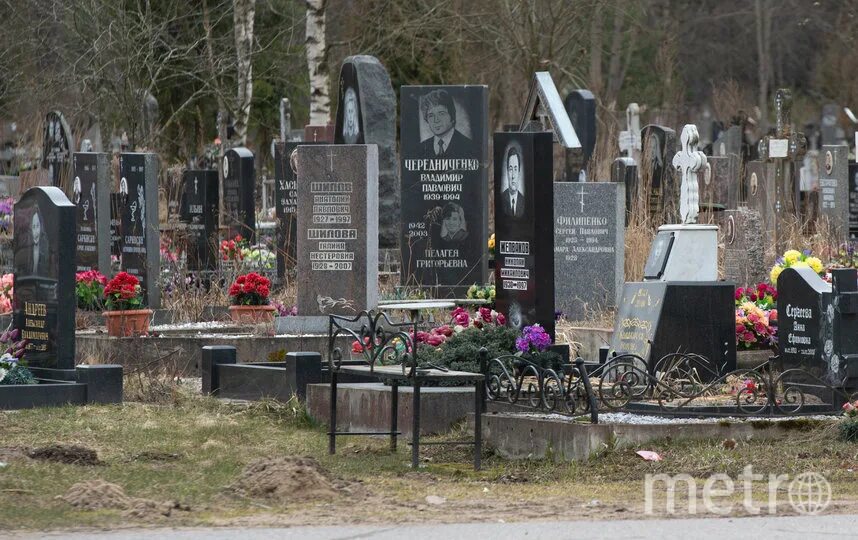 Северное кладбище СПБ. Санкт-Петербург Северное кладбище 1 СИЭМ. Северное кладбище Сосновый участок. Южное кладбище Санкт-Петербург. Северное кладбище телефон