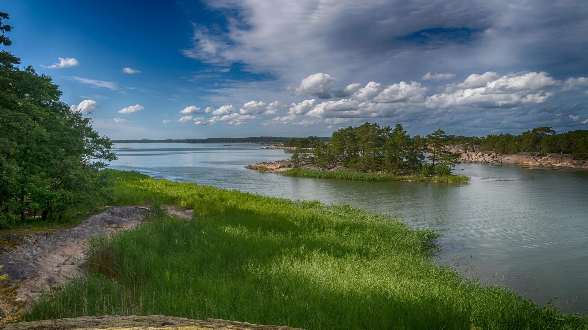 Природа реки волга. Природа река Волга. Природа Волга лес река. Озеро Ильмень. Лиманы реки Волги.