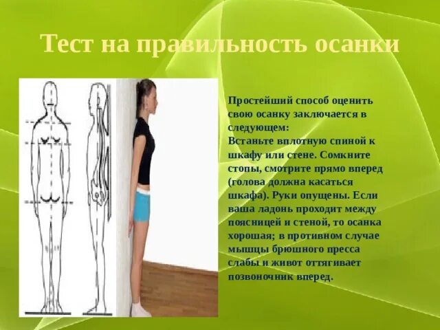 Практическая работа проверяем правильность осанки 8. Тест на осанку. способы проверки правильной осанки. оцените свою осанку. визуальное тестирование осанки.
