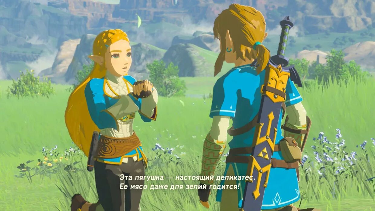 Сколько весит zelda. Зельда Нинтендо свитч. Зельда игра на Нинтендо. The Legend of Zelda: Breath of the Wild. Зельда из Breath of the Wild.
