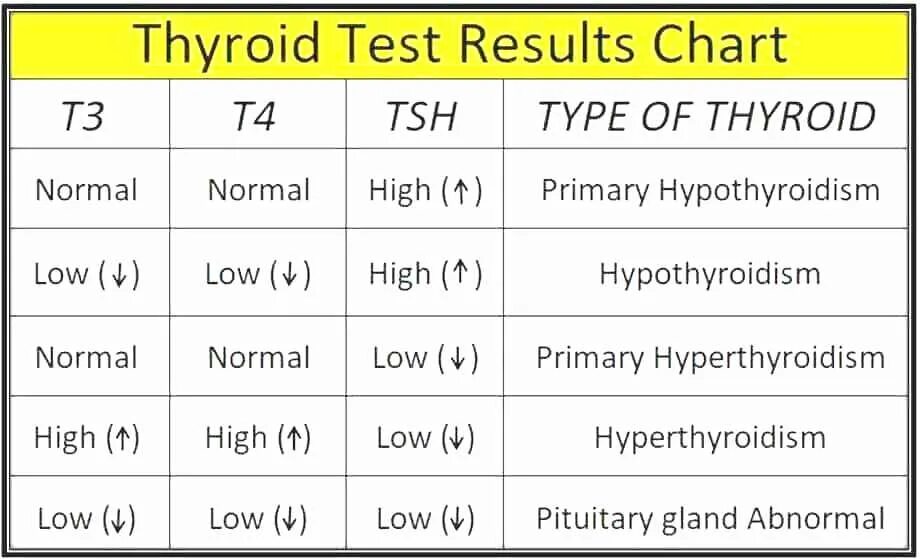 TSH normal range. Thyroid stimulating Hormone, t3,t4. Thyroid Tests. TSH гормон normal. T 3 page