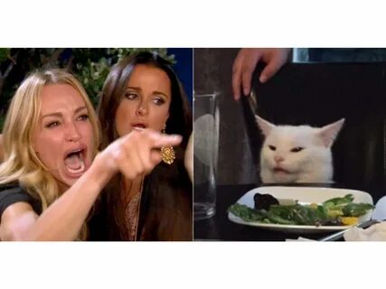 Woman yelling at cat: How Smudge the cat became the best meme of 2019.