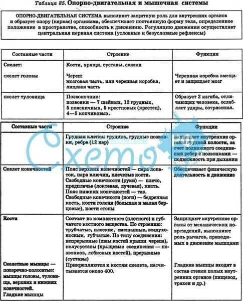 Название групп органов. Строение опорно двигательной системы таблица 7 класс биология. Опорно двигательная система у млекопитающих органы таблица. Опорно двигательная система млекопитающих таблица. Пищеварительная система млекопитающих 7 класс биология таблица.