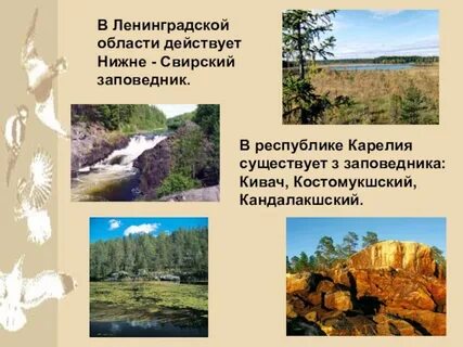 Проект ленинградская область