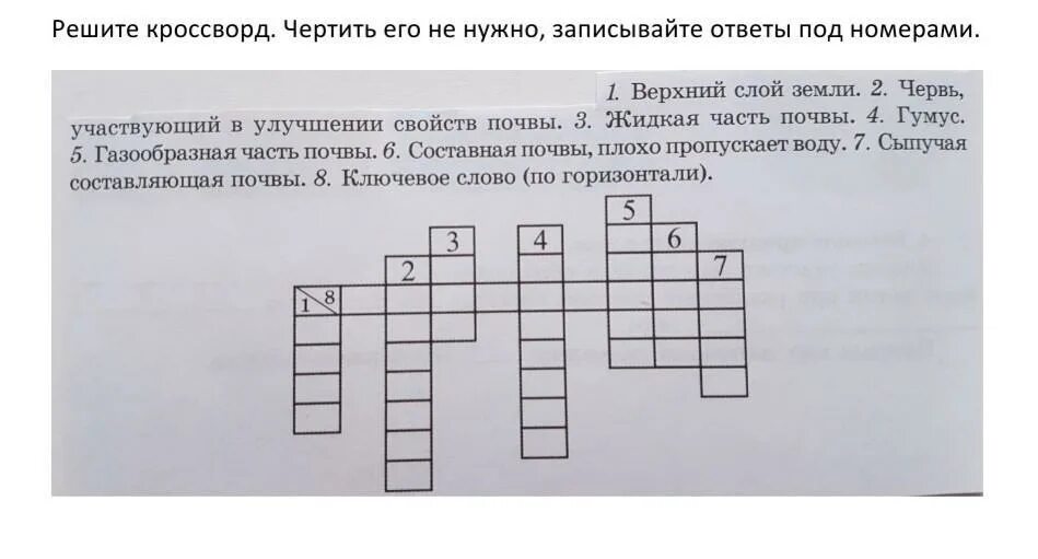 Кроссворд электроник 4 класс. Реши кроссворд. Кроссворд чертить. Практическая работа кроссворд. Приключения электроника кроссворд с ответами.